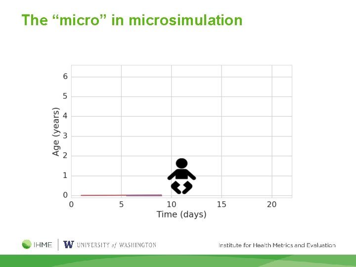 The “micro” in microsimulation 