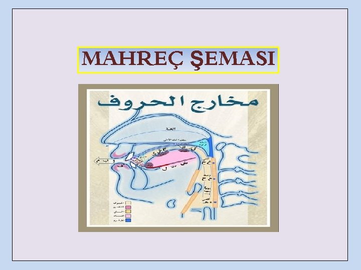 MAHREÇ ŞEMASI 