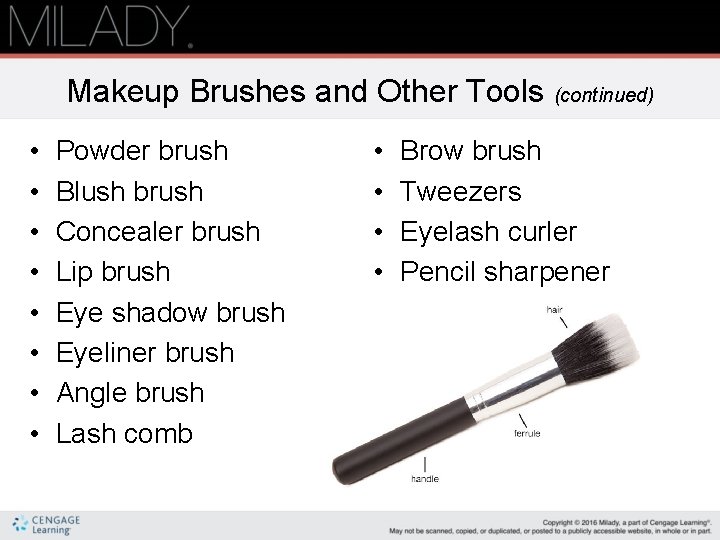 Makeup Brushes and Other Tools (continued) • • Powder brush Blush brush Concealer brush
