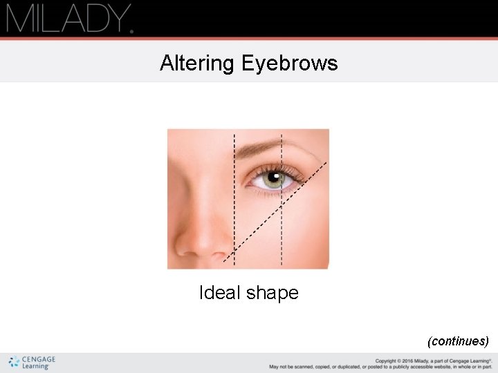 Altering Eyebrows Ideal shape (continues) 