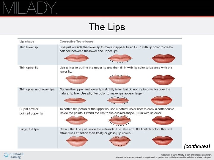 The Lips (continues) 