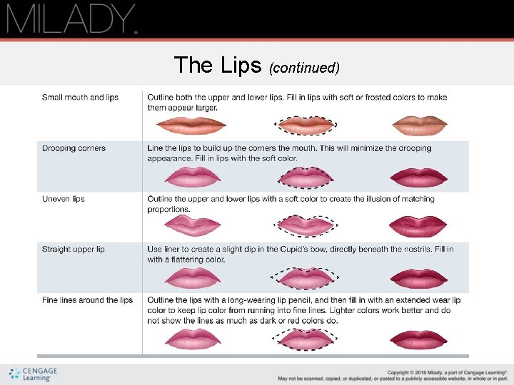 The Lips (continued) 