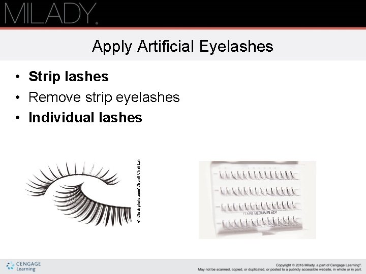 Apply Artificial Eyelashes © i. Stockphoto. comShariff Che'Lah • Strip lashes • Remove strip
