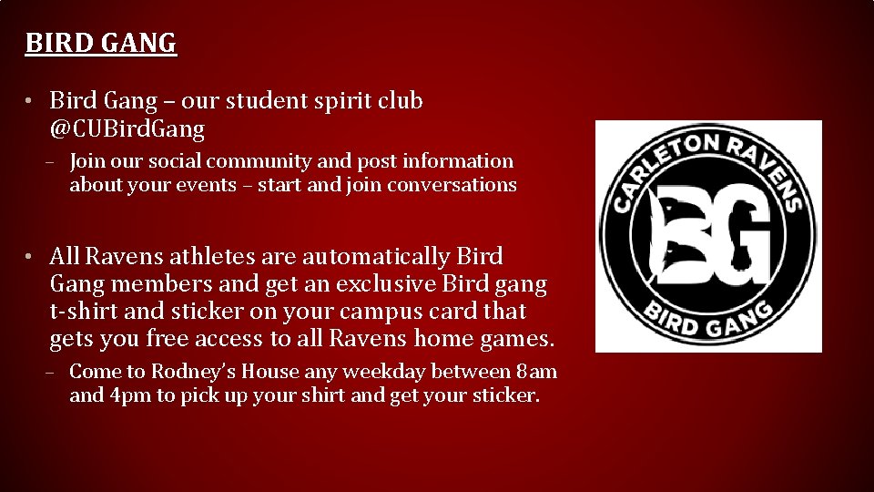 BIRD GANG • Bird Gang – our student spirit club @CUBird. Gang – Join