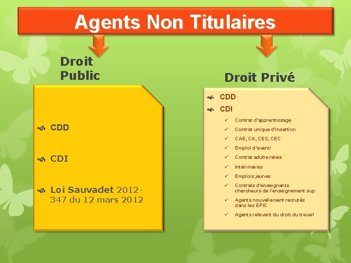 Agents Non Titulaires Droit Public Droit Privé CDD CDI Loi Sauvadet 2012 - 347