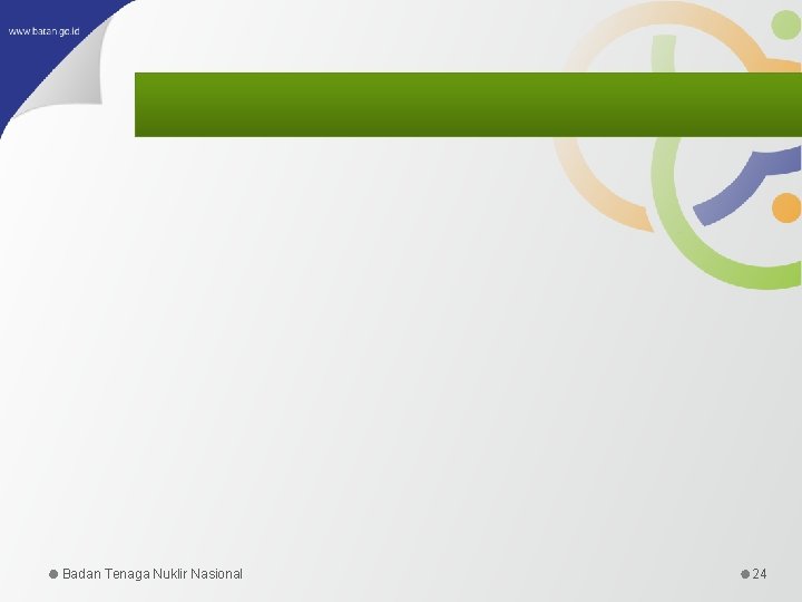 Badan Tenaga Nuklir Nasional 24 