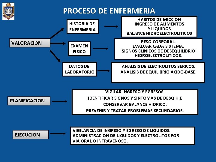 PROCESO DE ENFERMERIA HISTORIA DE ENFERMERIA VALORACION PLANIFICACION EJECUCION HABITOS DE MICCION INGRESO DE