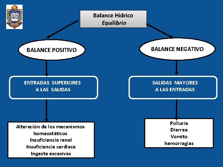 Balance Hídrico Equilibrio BALANCE POSITIVO ENTRADAS SUPERIORES A LAS SALIDAS Alteración de los mecanismos