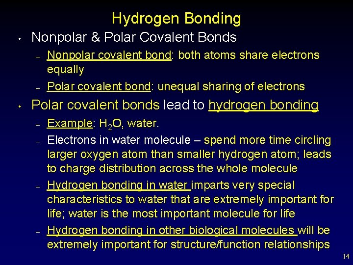 Hydrogen Bonding • Nonpolar & Polar Covalent Bonds – – • Nonpolar covalent bond: