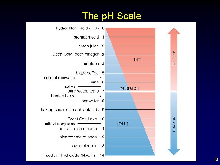 The p. H Scale 22 