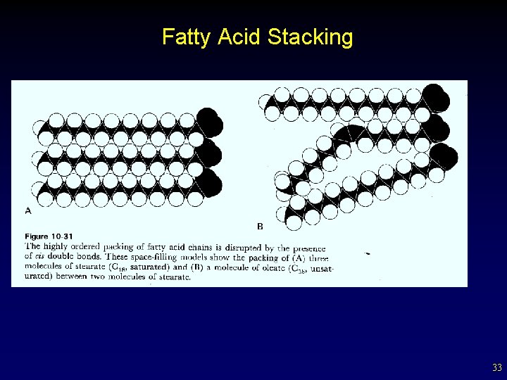 Fatty Acid Stacking 33 