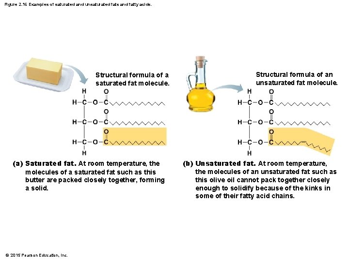 Figure 2. 16 Examples of saturated and unsaturated fats and fatty acids. Structural formula