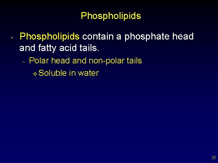 Phospholipids • Phospholipids contain a phosphate head and fatty acid tails. – Polar head