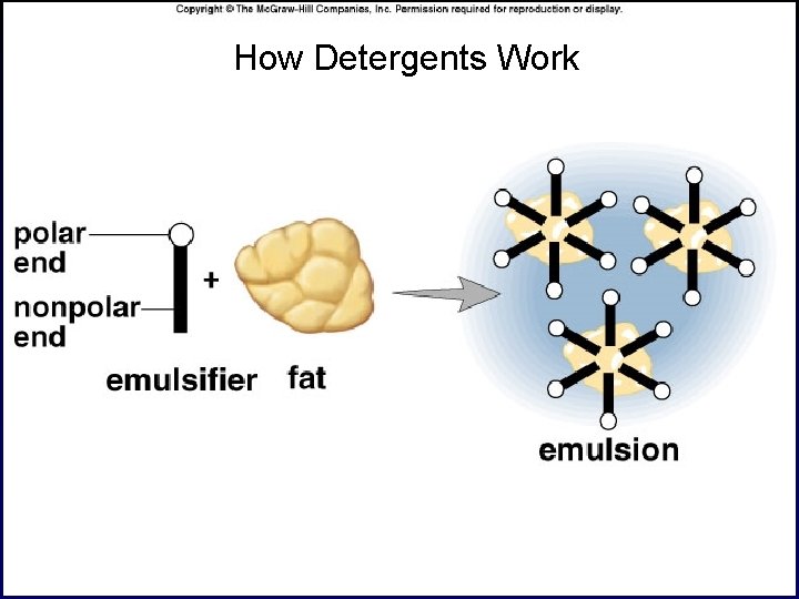 How Detergents Work 37 