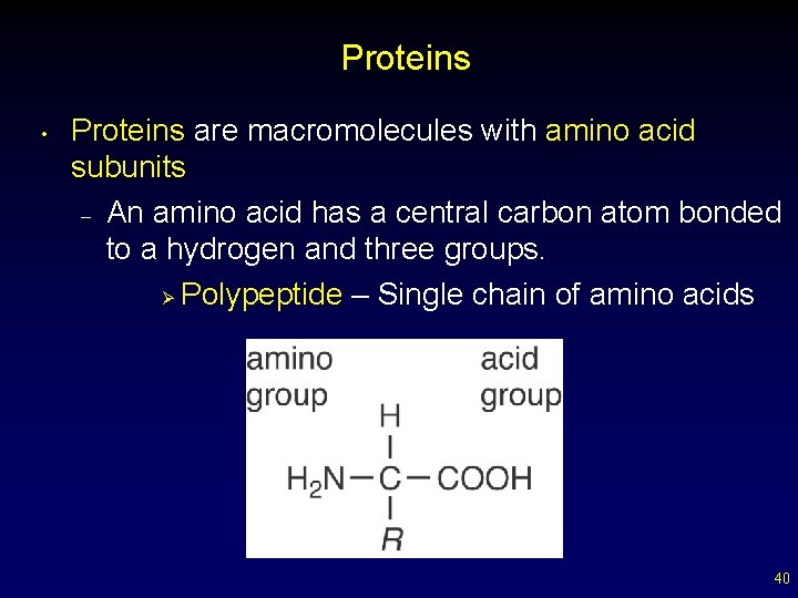 Proteins • Proteins are macromolecules with amino acid subunits – An amino acid has