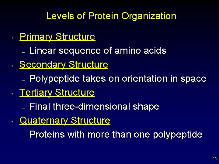 Levels of Protein Organization • • Primary Structure – Linear sequence of amino acids