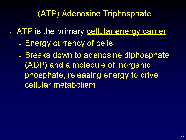 (ATP) Adenosine Triphosphate • ATP is the primary cellular energy carrier – Energy currency