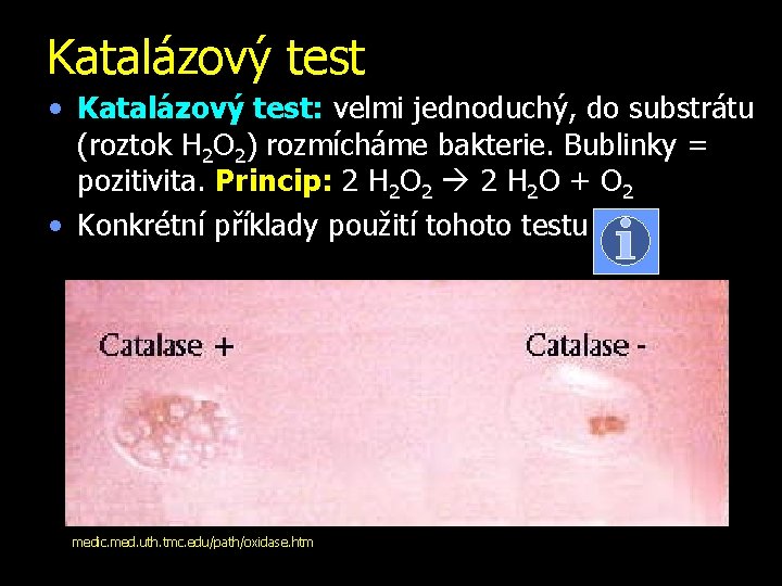 Katalázový test • Katalázový test: velmi jednoduchý, do substrátu (roztok H 2 O 2)