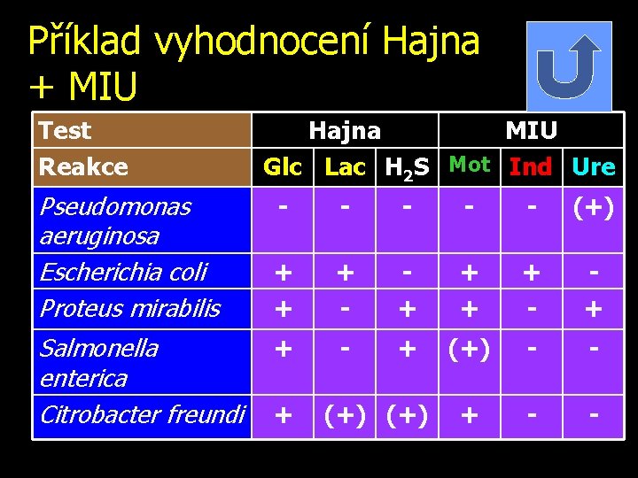 Příklad vyhodnocení Hajna + MIU Test Reakce Pseudomonas aeruginosa Escherichia coli Proteus mirabilis Salmonella