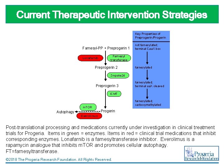 Current Therapeutic Intervention Strategies Key Properties of Preprogerin/Progerin Farnesyl-PP + Preprogerin 1 Lonafarnib not