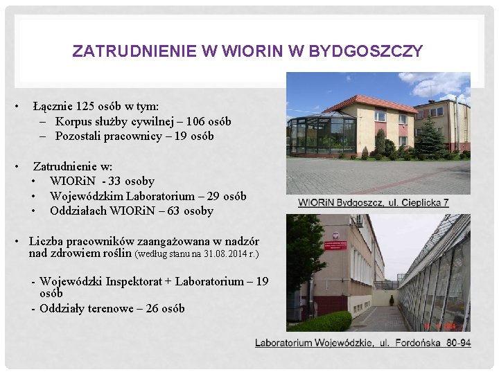 ZATRUDNIENIE W WIORIN W BYDGOSZCZY • Łącznie 125 osób w tym: – Korpus służby