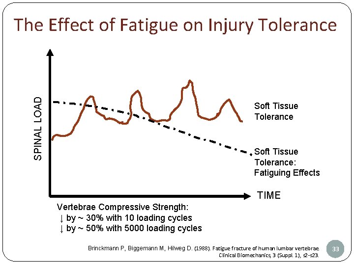 SPINAL LOAD The Effect of Fatigue on Injury Tolerance Soft Tissue Tolerance: Fatiguing Effects