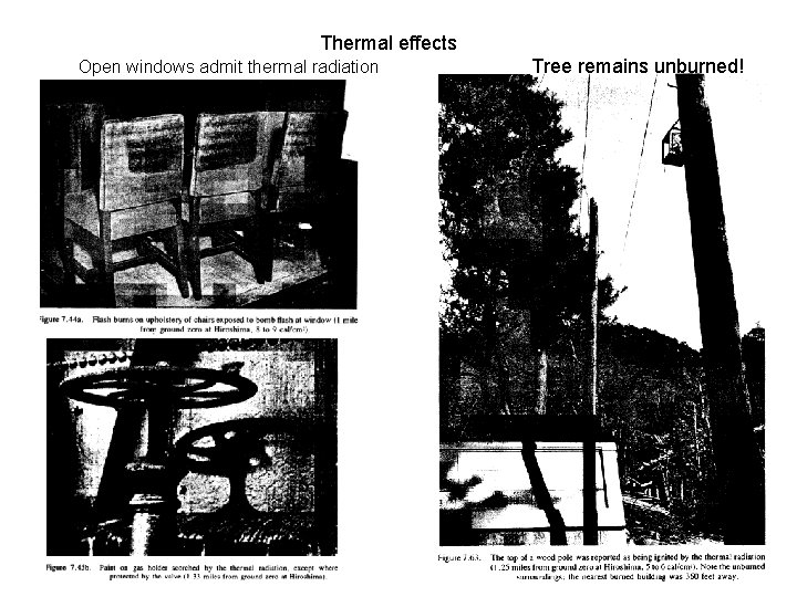 Thermal effects Open windows admit thermal radiation Tree remains unburned! 