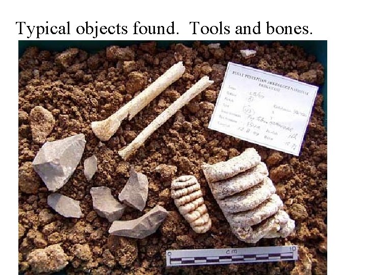 Typical objects found. Tools and bones. 