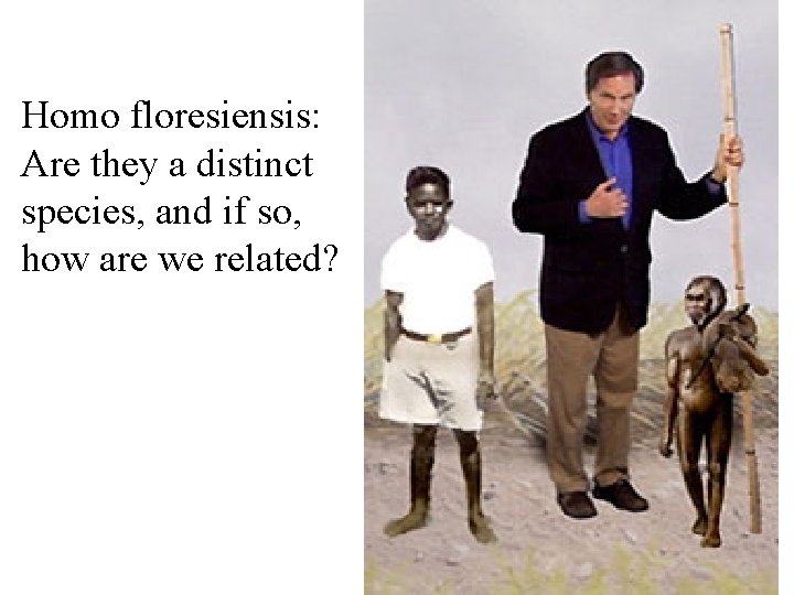 Homo floresiensis: Are they a distinct species, and if so, how are we related?