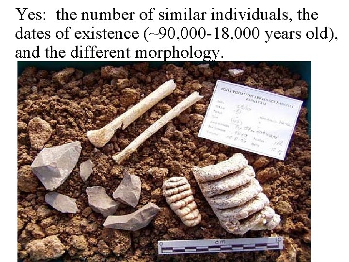 Yes: the number of similar individuals, the dates of existence (~90, 000 -18, 000