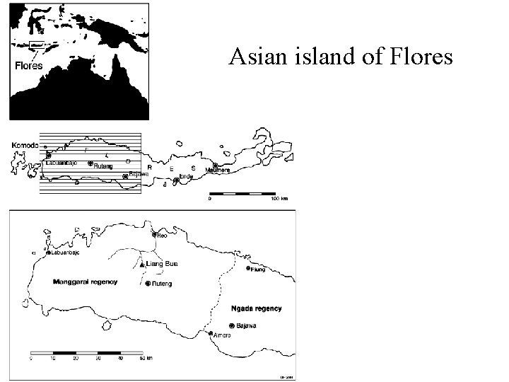 Asian island of Flores 