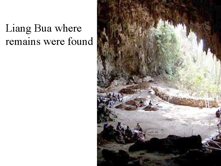 Liang Bua where remains were found 