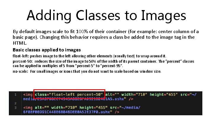 Adding Classes to Images By default images scale to fit 100% of their container