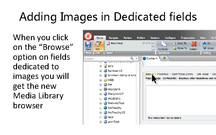 Adding Images in Dedicated fields When you click on the “Browse” option on fields
