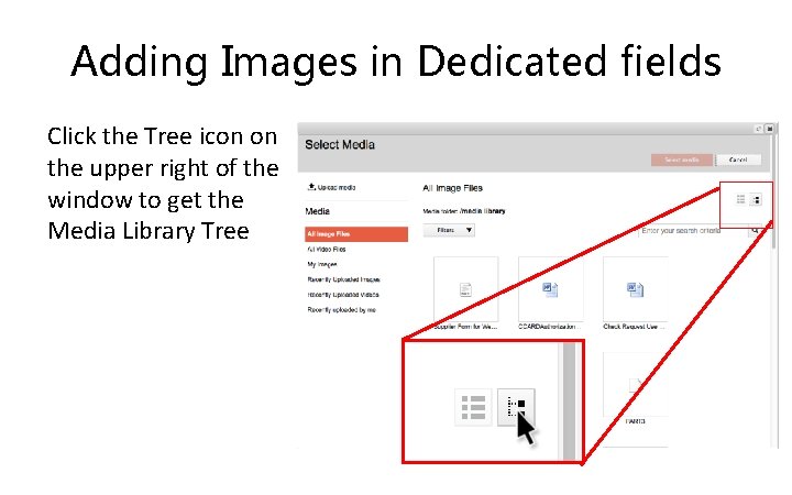 Adding Images in Dedicated fields Click the Tree icon on the upper right of