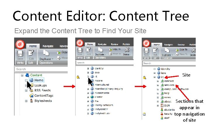 Content Editor: Content Tree Expand the Content Tree to Find Your Site Sections that