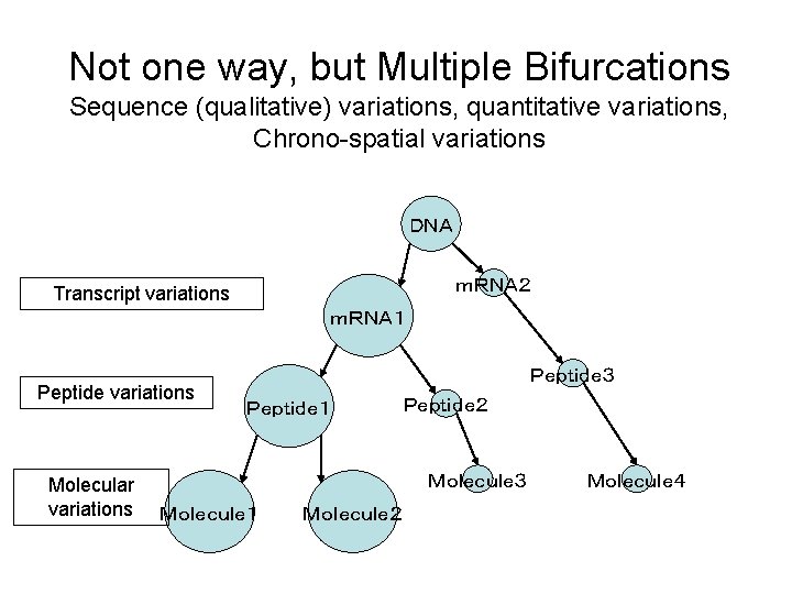 Not one way, but Multiple Bifurcations Sequence (qualitative) variations, quantitative variations, Chrono-spatial variations ＤＮＡ