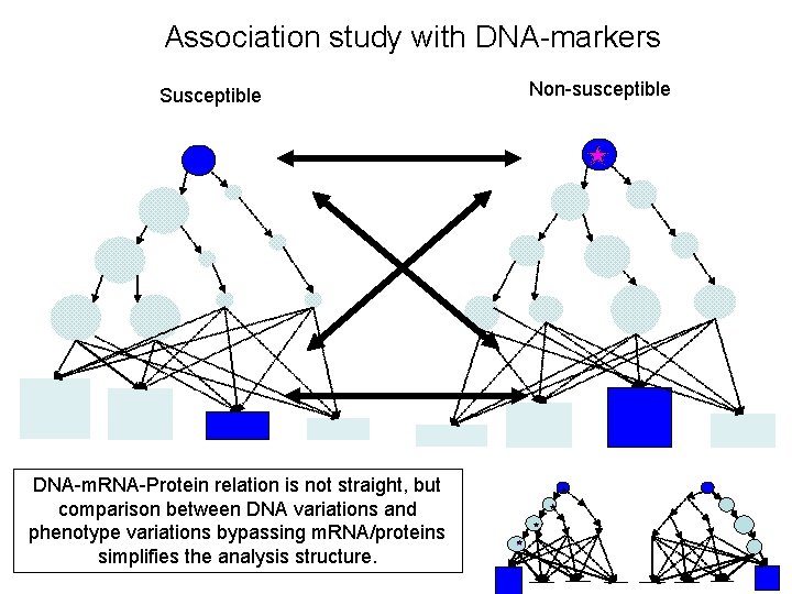 Association study with DNA-markers Susceptible DNA-m. RNA-Protein relation is not straight, but comparison between