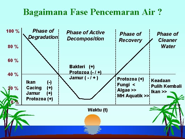 Bagaimana Fase Pencemaran Air ? 100 % Phase of Degradation Phase of Active Decomposition