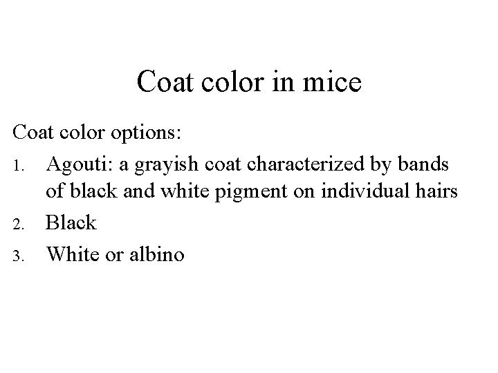 Coat color in mice Coat color options: 1. Agouti: a grayish coat characterized by