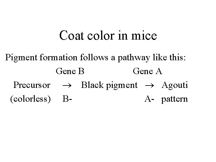 Coat color in mice Pigment formation follows a pathway like this: Gene B Gene