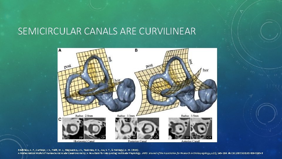 SEMICIRCULAR CANALS ARE CURVILINEAR Bradshaw, A. P. , Curthoys, I. S. , Todd, M.