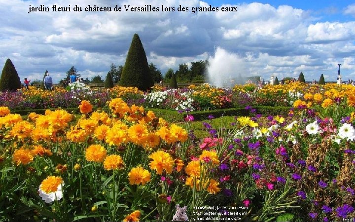 jardin fleuri du château de Versailles lors des grandes eaux Excusé moi , je
