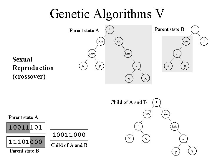 Genetic Algorithms V Parent state B Parent state A Sexual Reproduction (crossover) Child of