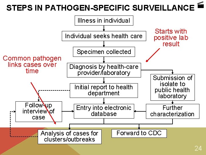 STEPS IN PATHOGEN-SPECIFIC SURVEILLANCE Illness in individual Individual seeks health care Common pathogen links