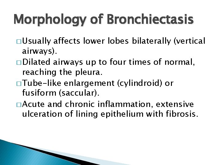 Morphology of Bronchiectasis � Usually affects lower lobes bilaterally (vertical airways). � Dilated airways