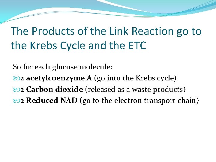 The Products of the Link Reaction go to the Krebs Cycle and the ETC