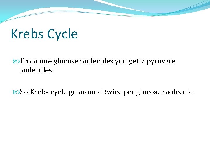 Krebs Cycle From one glucose molecules you get 2 pyruvate molecules. So Krebs cycle