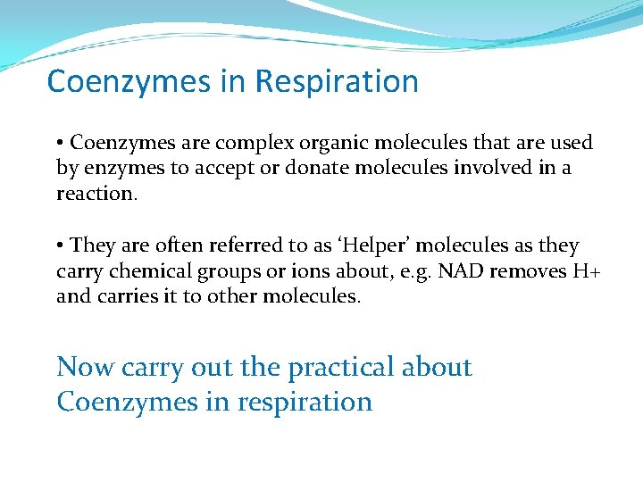 Coenzymes in Respiration • Coenzymes are complex organic molecules that are used by enzymes