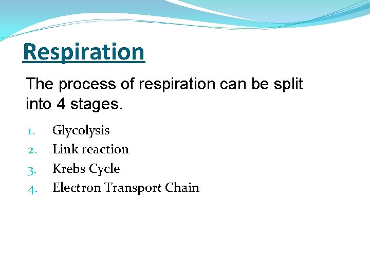 Respiration The process of respiration can be split into 4 stages. 1. 2. 3.